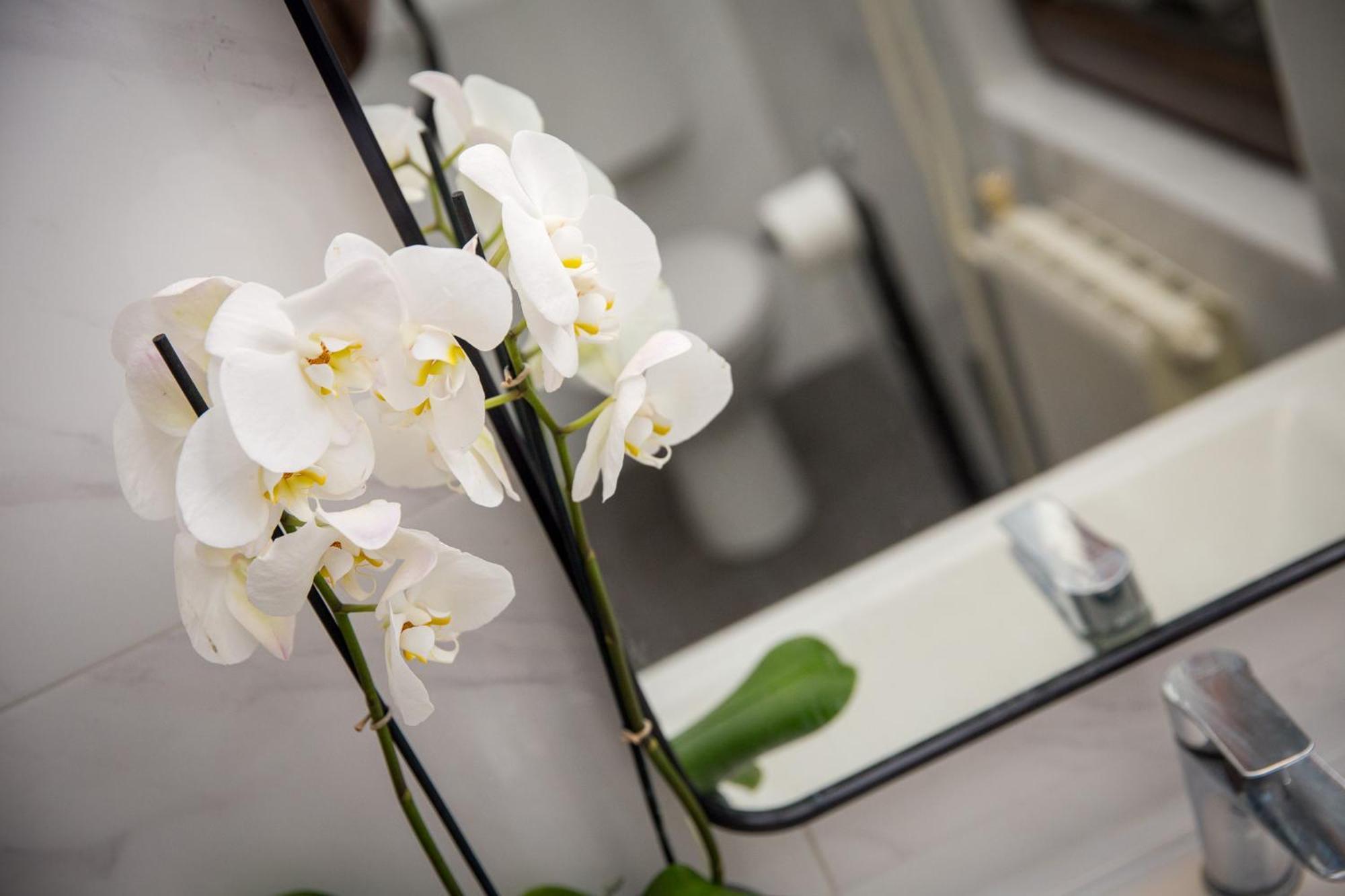 Apartment Luce Rovinj