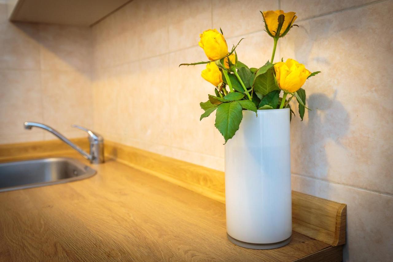 Apartment Luce Rovinj